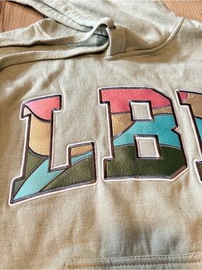 Embroidered LBI Beach Letter Appliqué Hoodie in Sage with Multi-Color Fill